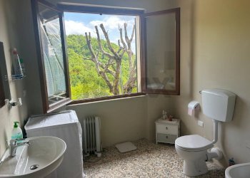 Bagno - Casa semi indipendente Coreglia Antelminelli - foto 14