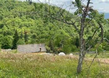 Giardino - Casa semi indipendente Coreglia Antelminelli - foto 19