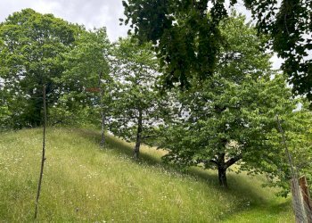 Giardino - Casa semi indipendente Coreglia Antelminelli - foto 20