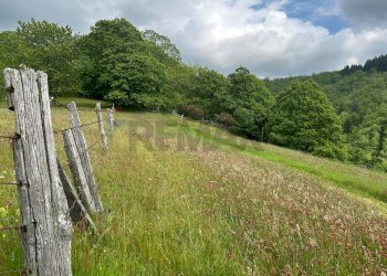Giardino - Casa semi indipendente Coreglia Antelminelli - foto 22