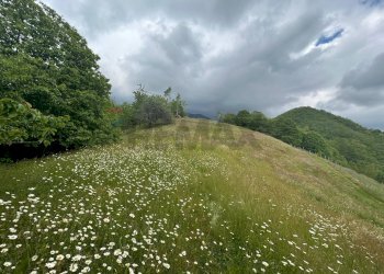 Giardino - Casa semi indipendente Coreglia Antelminelli - foto 23