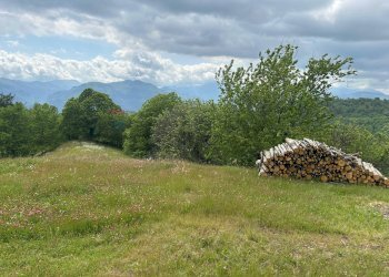 Giardino - Casa semi indipendente Coreglia Antelminelli - foto 27