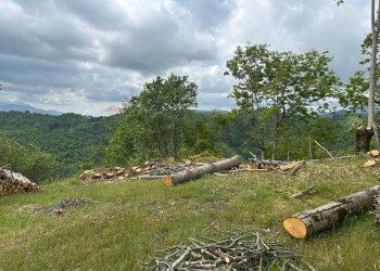 Giardino - Casa semi indipendente Coreglia Antelminelli - foto 28