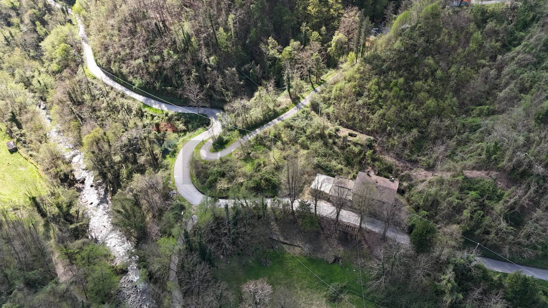 Giardino - Rustico Barga - foto 3