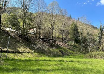 Giardino - Rustico Barga - foto 10