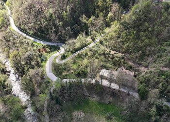 Giardino - Rustico Barga - foto 15