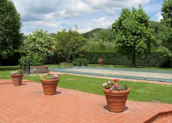 Terrazza - Casa indipendente Barga - foto 23