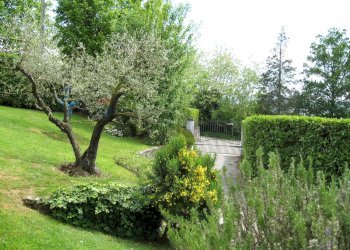 Giardino - Casa indipendente Barga - foto 33