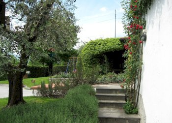 Giardino - Casa indipendente Barga - foto 34