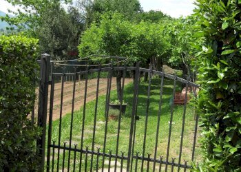 Giardino - Casa indipendente Barga - foto 38