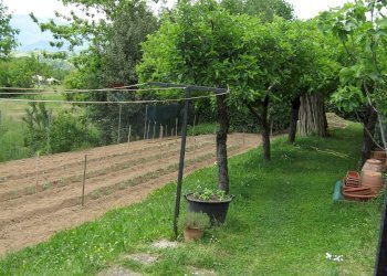 Giardino - Casa indipendente Barga - foto 39