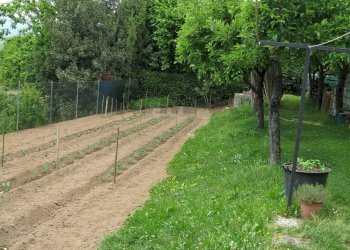 Giardino - Casa indipendente Barga - foto 40