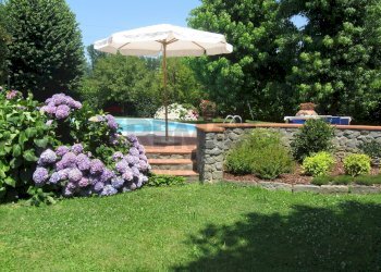 Giardino - Casa indipendente Barga - foto 52