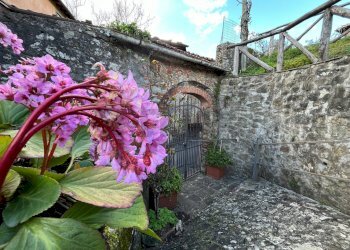 Casa all\'aperto - Casa semi indipendente Coreglia Antelminelli - foto 2