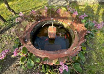 Dettagli - Casa semi indipendente Coreglia Antelminelli - foto 28