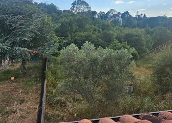 Giardino - Villa via Perato
 
snc, Molinara - foto 7