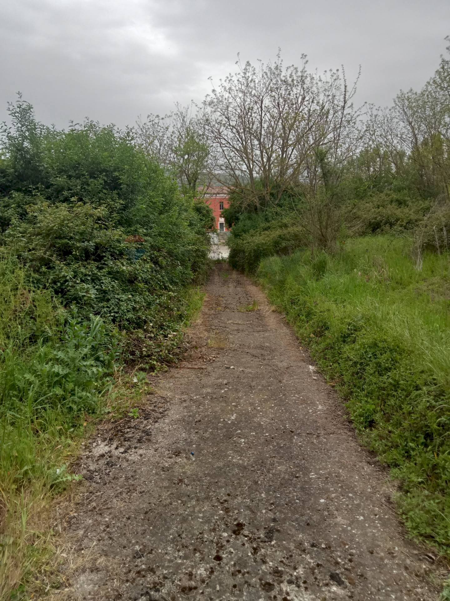 Giardino - Agricultural land Benevento - photo 1