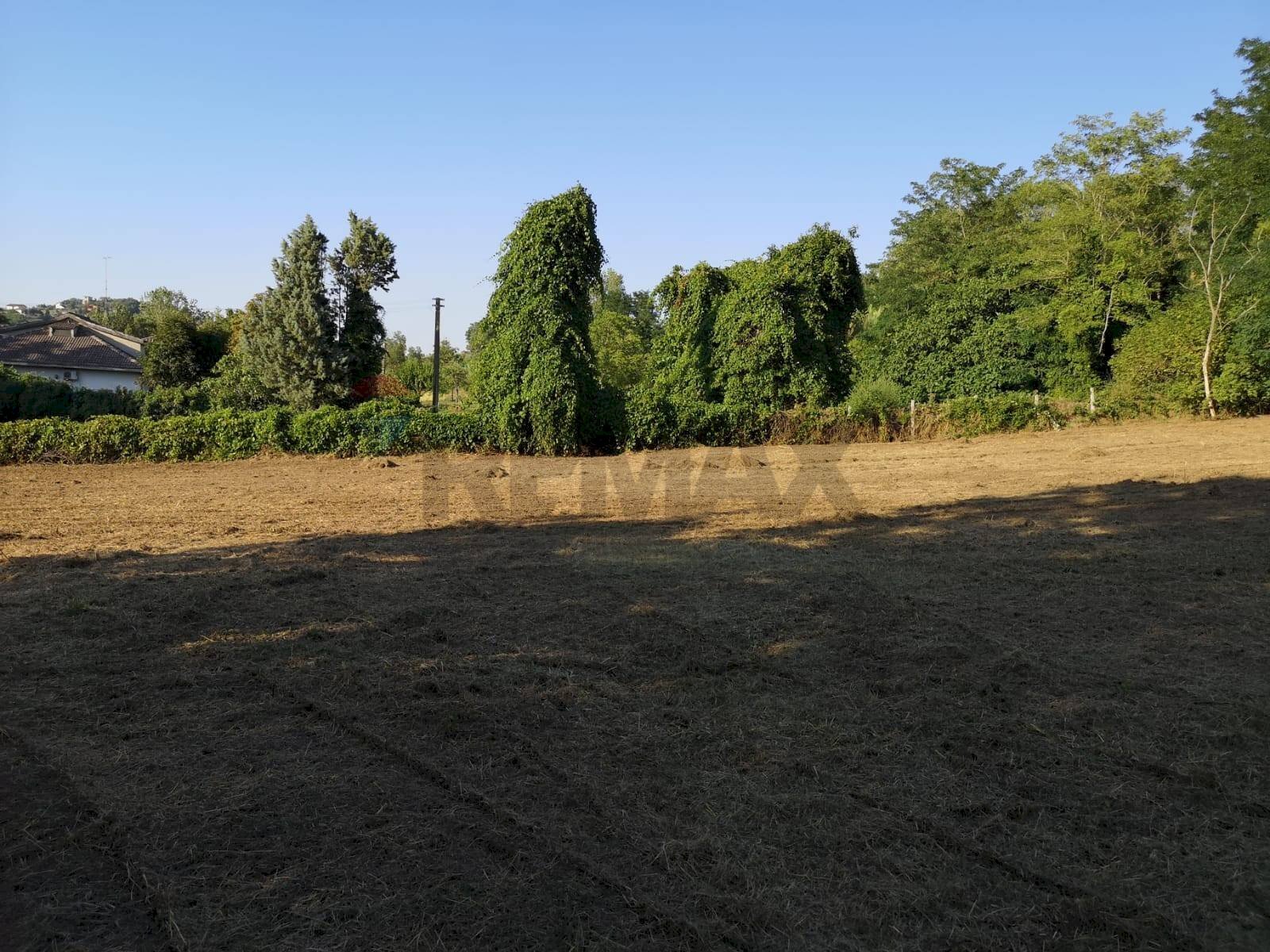 Giardino - Agricultural land Benevento - photo 3