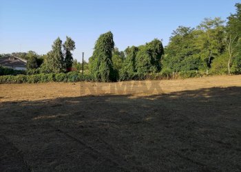 Giardino - Terreno agricolo Benevento - foto 3