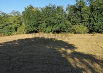 Giardino - Terreno agricolo Benevento - foto 5