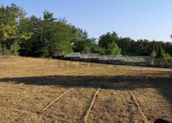 Giardino - Terreno agricolo Benevento - foto 6