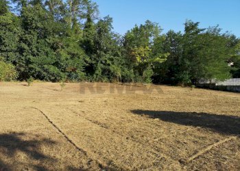 Giardino - Terreno agricolo Benevento - foto 7