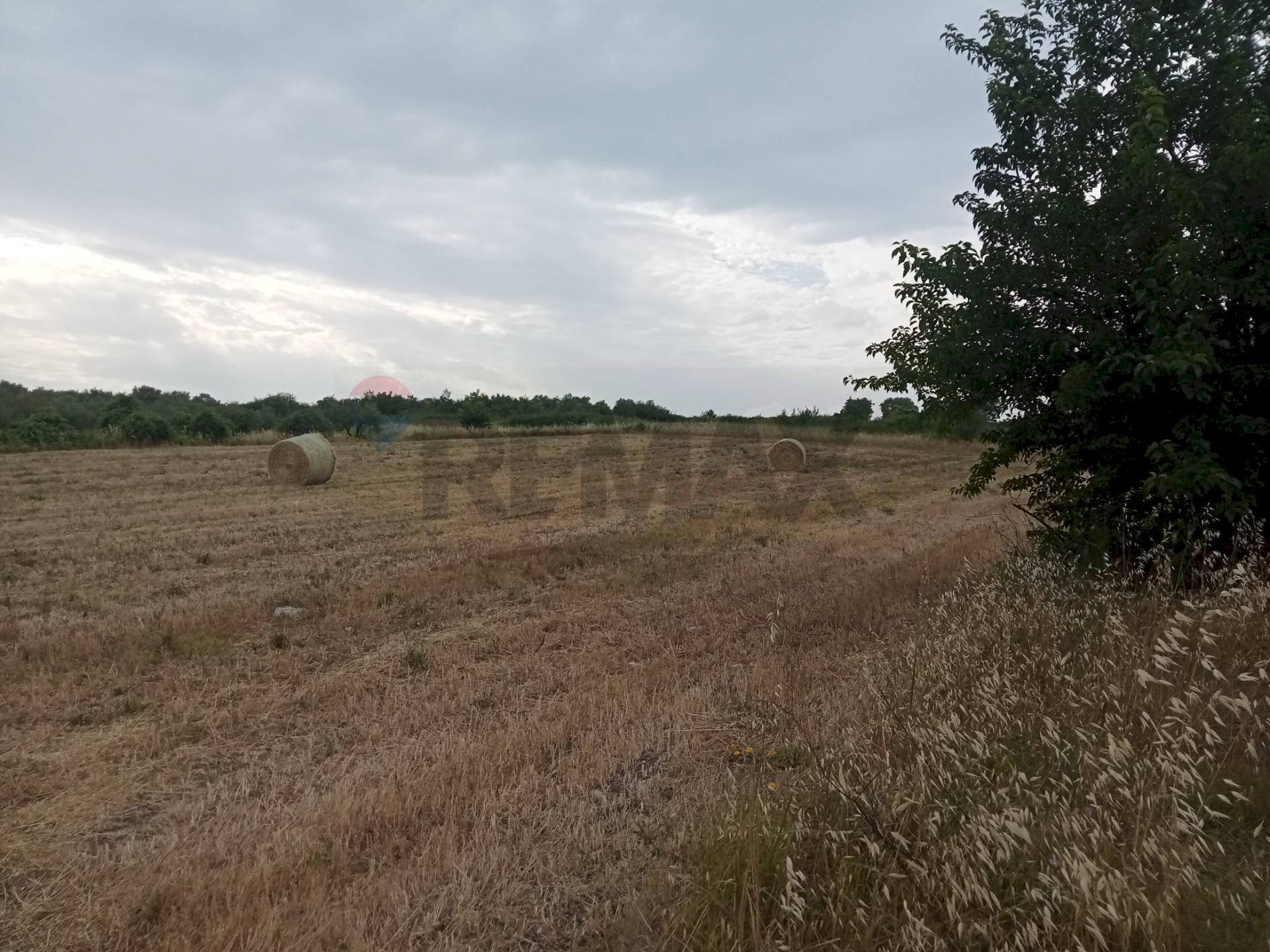 Non correlato - Agricultural land Benevento - photo 3