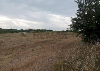 Non correlato - Terreno agricolo Benevento - foto 3