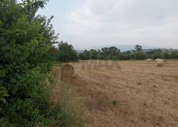 Giardino - Terreno agricolo Benevento - foto 8