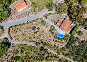 Foto 42 - Villa Vallebona - foto 42