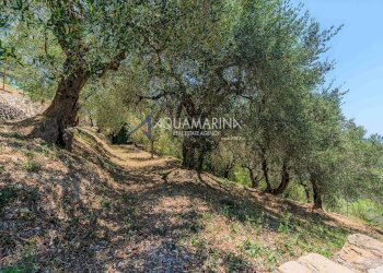 Foto 43 - Villa Vallebona - foto 43