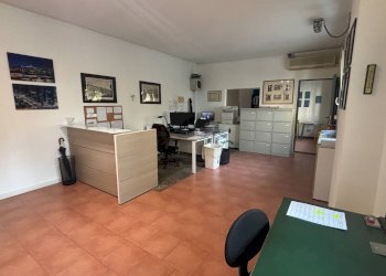 Foto 2 - Laboratorio via Delfico, Milano - foto 2