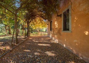 Casa indipendente Via Monte Grappa, 11 
 Piamborno, Piancogno - foto 23