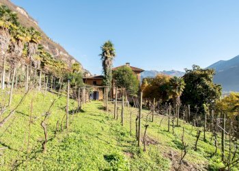 Casa indipendente Via Monte Grappa, 11 
 Piamborno, Piancogno - foto 28