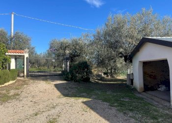 Giardino - Casa indipendente CASE VICARIO
 
1491, Pianella - foto 13