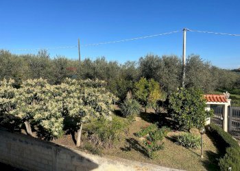 Giardino - Casa indipendente CASE VICARIO
 
1491, Pianella - foto 14