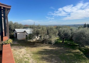 Giardino - Casa indipendente CASE VICARIO
 
1491, Pianella - foto 16