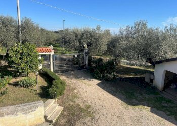 Giardino - Casa indipendente CASE VICARIO
 
1491, Pianella - foto 21