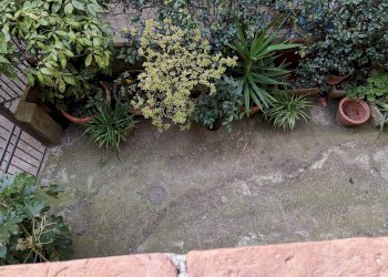 Foto 9 - Bilocale via Piavola
 
30, Buti - foto 9