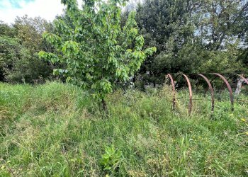 Foto 20 - Independent house Via San Martino
 
12, Collesalvetti - photo 20