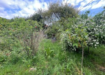 Foto 21 - Independent house Via San Martino
 
12, Collesalvetti - photo 21