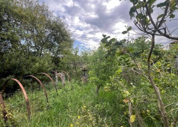 Foto 22 - Independent house Via San Martino
 
12, Collesalvetti - photo 22