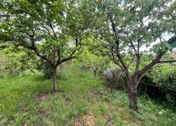 Foto 24 - Independent house Via San Martino
 
12, Collesalvetti - photo 24