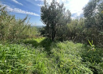 Foto 29 - Independent house Via San Martino
 
12, Collesalvetti - photo 29