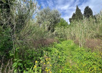 Foto 31 - Independent house Via San Martino
 
12, Collesalvetti - photo 31