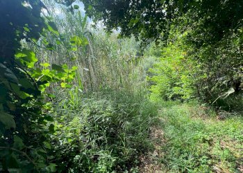 Foto 32 - Independent house Via San Martino
 
12, Collesalvetti - photo 32