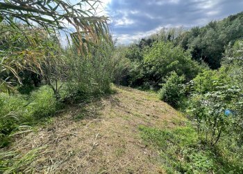 Foto 33 - Independent house Via San Martino
 
12, Collesalvetti - photo 33