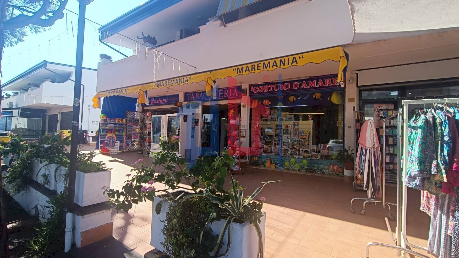 Foto 1 - Attività Commerciale lungomare tor san lorenzo
 
112/114, Ardea - foto 1