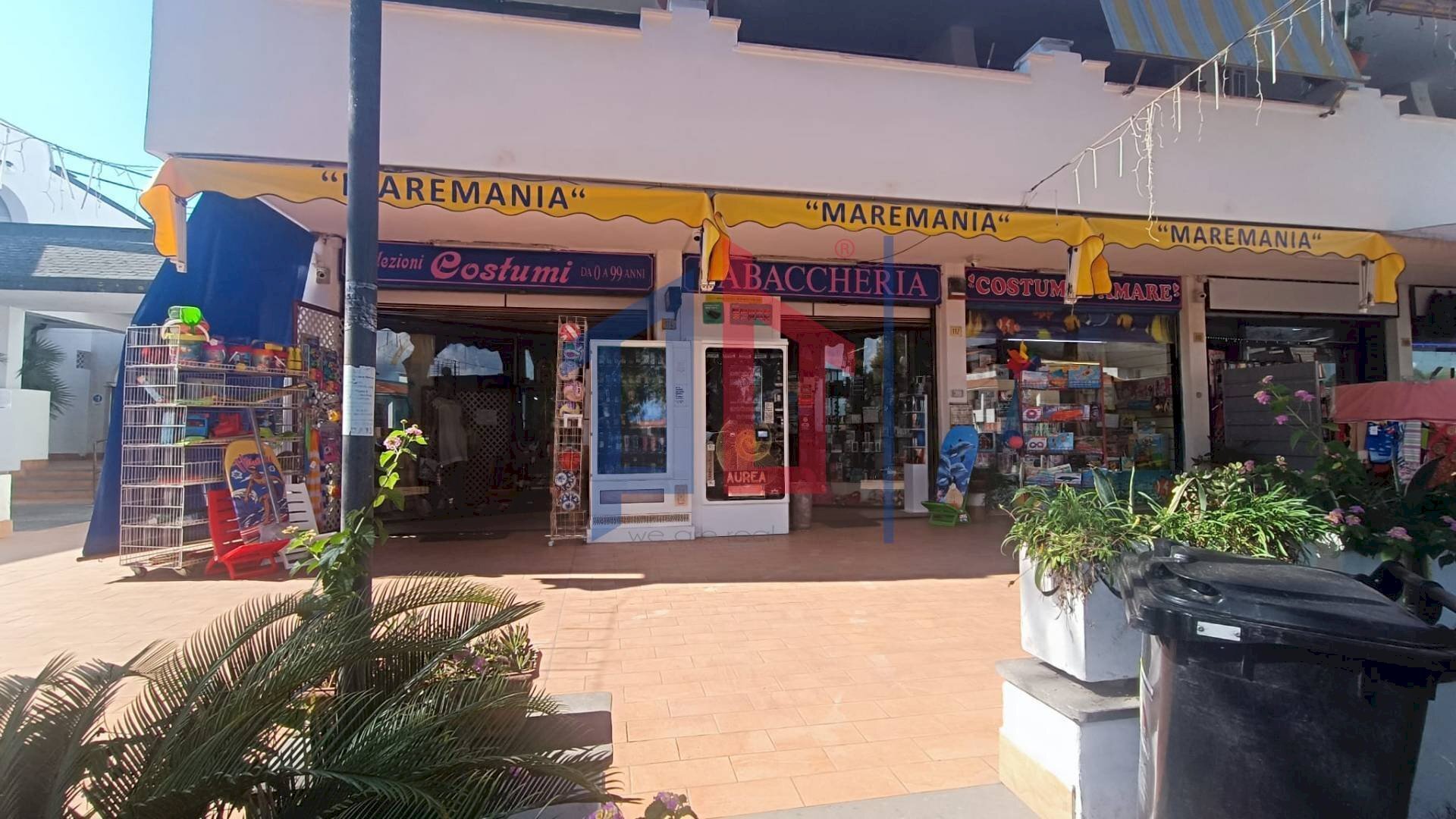 Foto 3 - Attività Commerciale lungomare tor san lorenzo
 
112/114, Ardea - foto 3