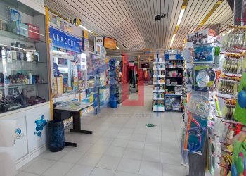 Foto 2 - Attività Commerciale lungomare tor san lorenzo
 
112/114, Ardea - foto 2